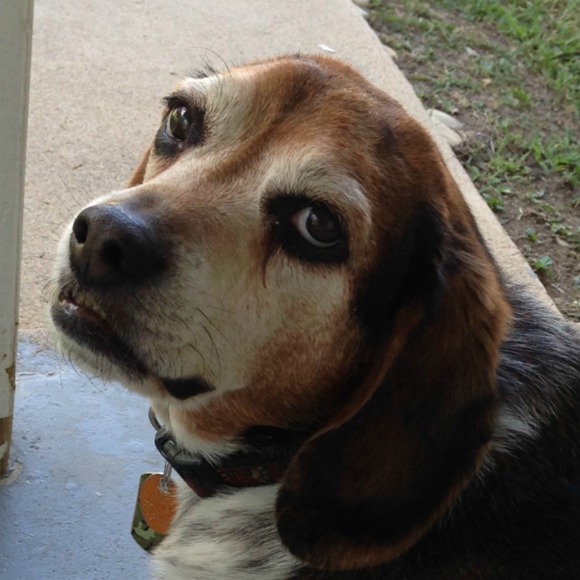 Meet your Posher, Char - Picture 1 of 1